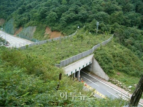 야생동물 생태통로 폭 넓힌다