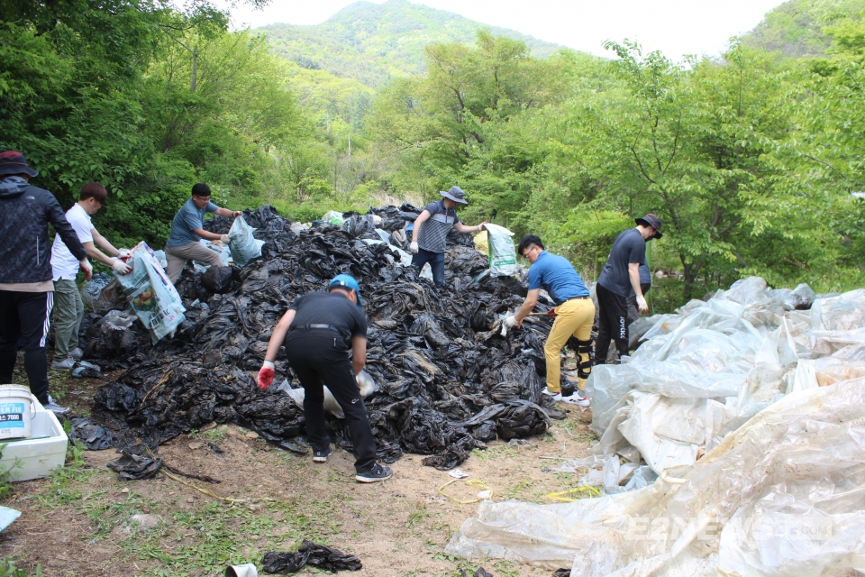 ▲석탄공사 임직원들이 폐비닐 수거 봉사활동을 하고 있다.