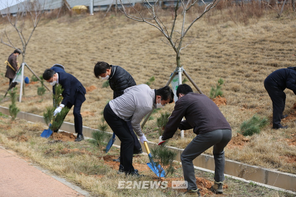 ▲새만금청 직원들이 식목일을 맞아 나무를 심고 있다.