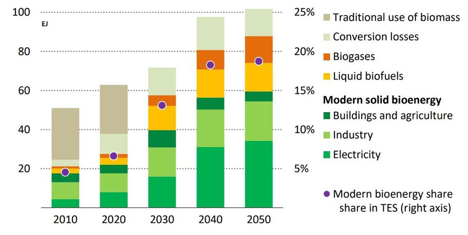 ▲바이오에너지 공급 예측 (출처-Net Zero by 2050 (IEA 2021))