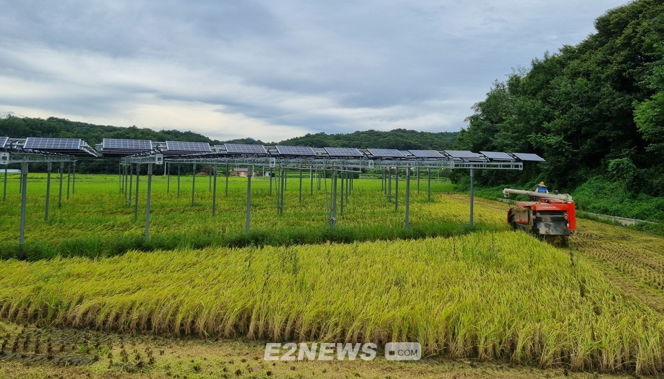 ▲기동마을 영농형태양광발전소에 설치한 태양광모듈 및 구조물. 농기계가 안전하게 드나들 수 있도록 3~5m 수준으로 높은 구조물을 설치했다.
