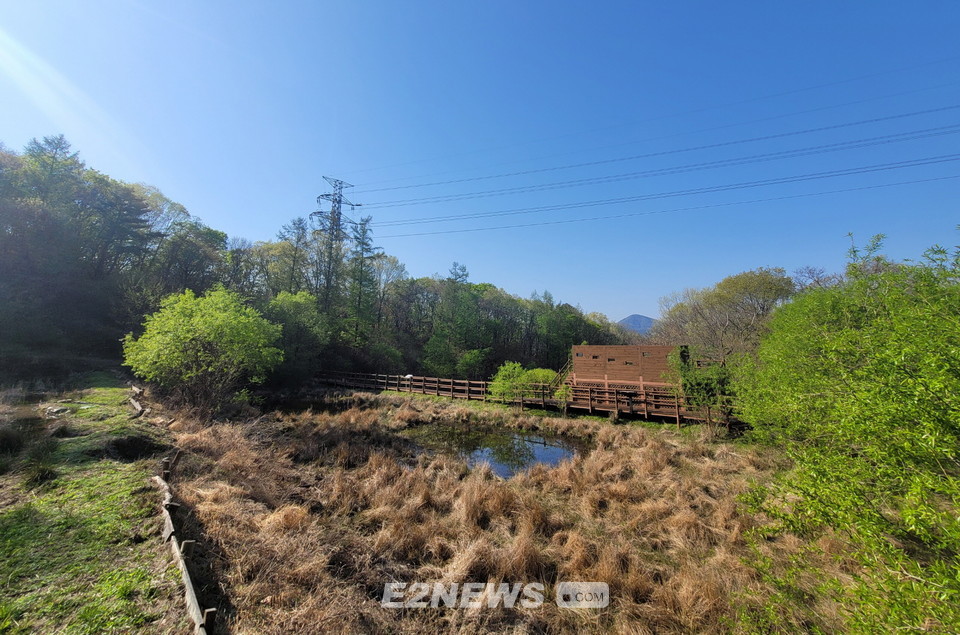 ▲북한산 국립공원 내에 있는 묵은 논을 매입, 생태습지로 복원한 모습.