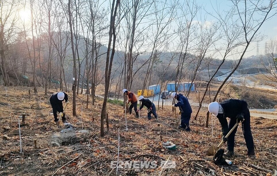 석유공사 울산지사 직원들이 상수리나무를 심고 있다.