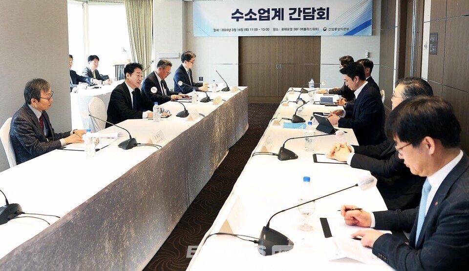 이호현 산업부 에너지정책실장(왼쪽 2번째)이 수소기업 대표자가 참석한 가운데 간담회를 주재하고 있다.