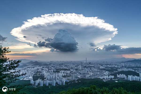 은상 수상작 '버섯구름'