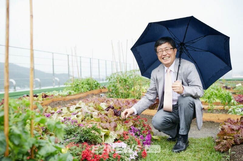 WEFC를 실현하는 도심 속 모범사례인 서울대 35동 옥상녹화시설.