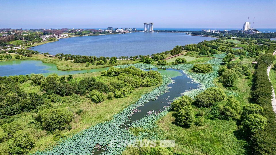 강릉 가시연습지와 경포호 전경.